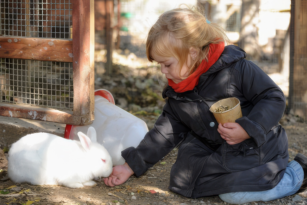 ferme-decouverte